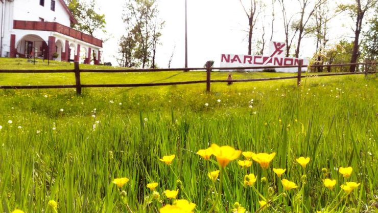 Centro Narconon Piemonte - liberati dalle droghe per davvero
